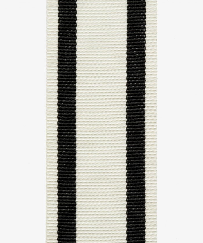 Prussia, Iron Cross for non-combatants, Johanniterkreuz, Red Eagle Order medal (52)